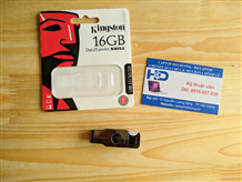 USB Kingston 16GB DataTraveler Swivl